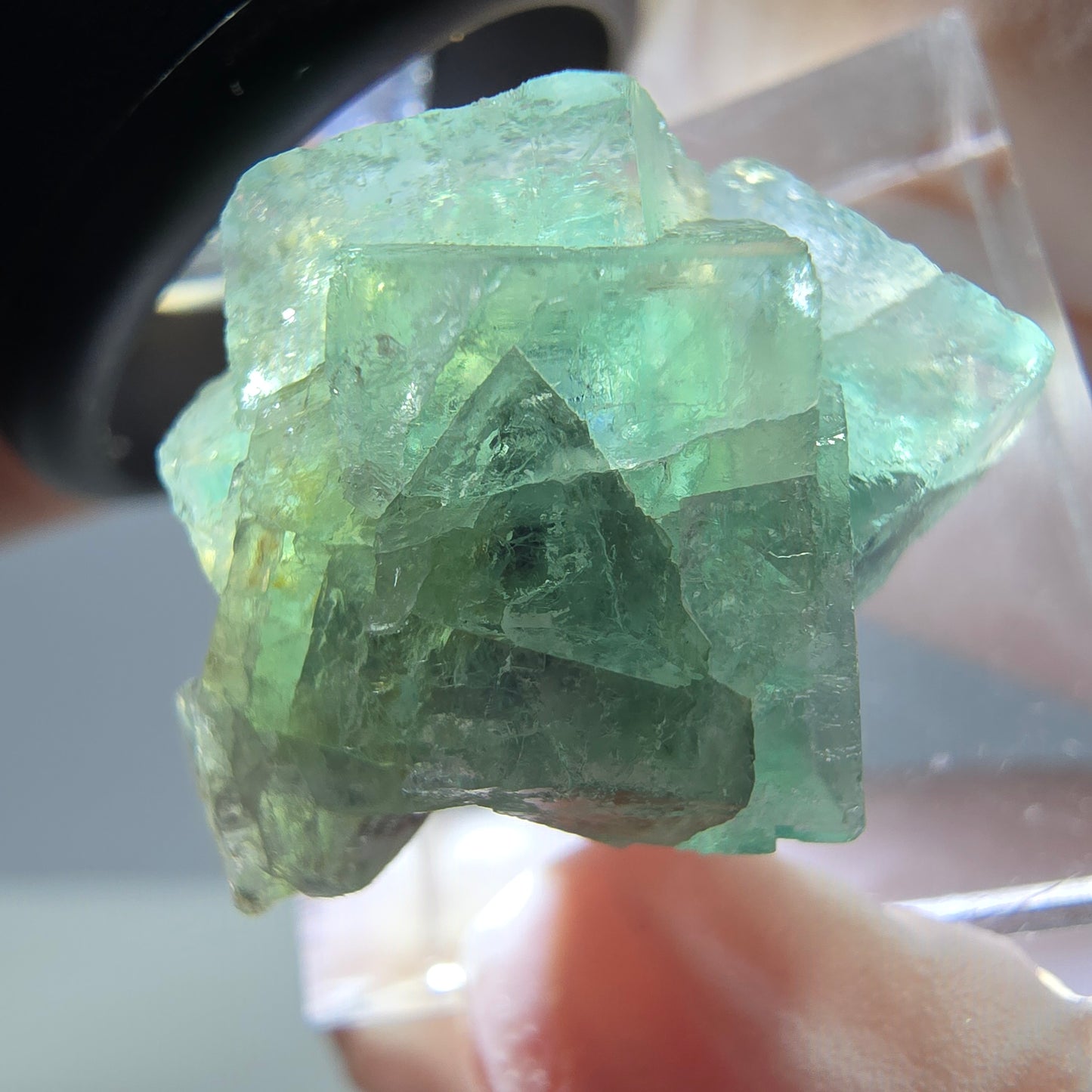 Phantom Fluorit Würfel Stufe, grün parkettiert Okorusu, Namibia 23*20*16mm