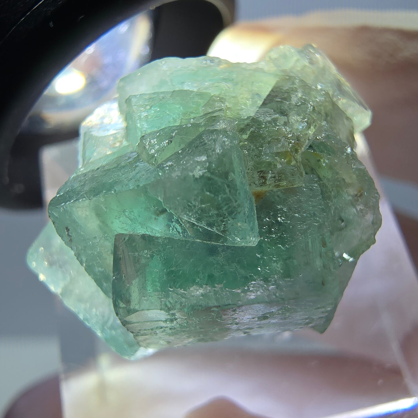 Phantom Fluorit Würfel Stufe, grün parkettiert Okorusu, Namibia 23*20*16mm