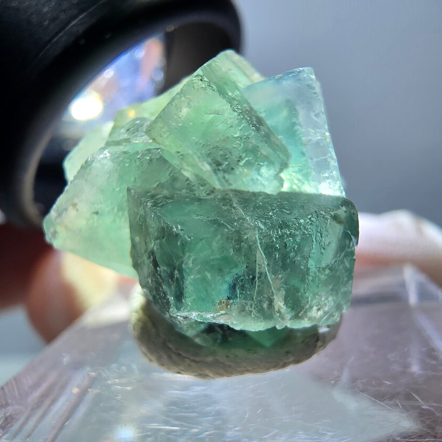 Phantom Fluorit Würfel Stufe, grün parkettiert Okorusu, Namibia 23*20*16mm
