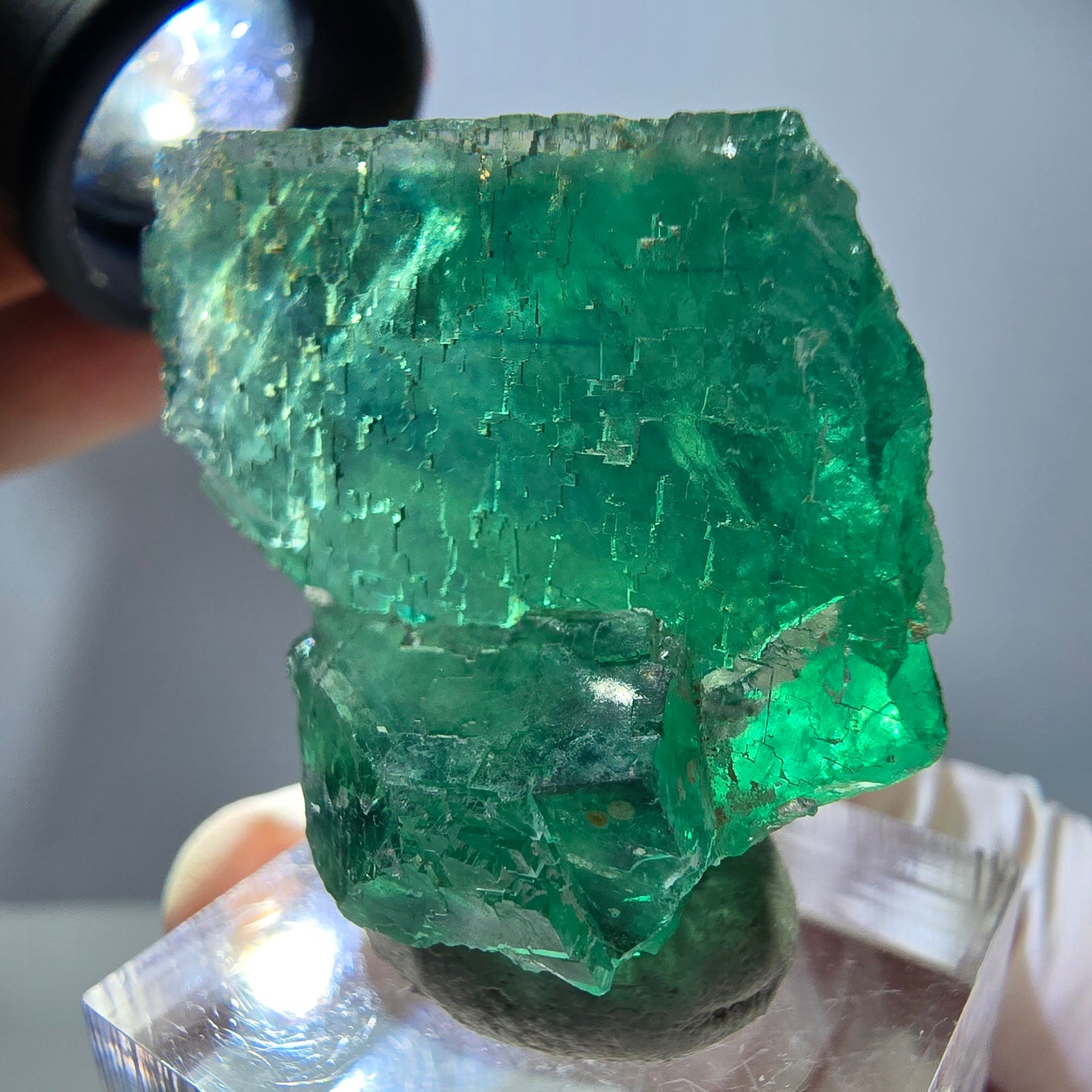 Spécimen de cube de fluorite fantôme, parquet vert Okorusu, Namibie 35 x 30 x 21 mm