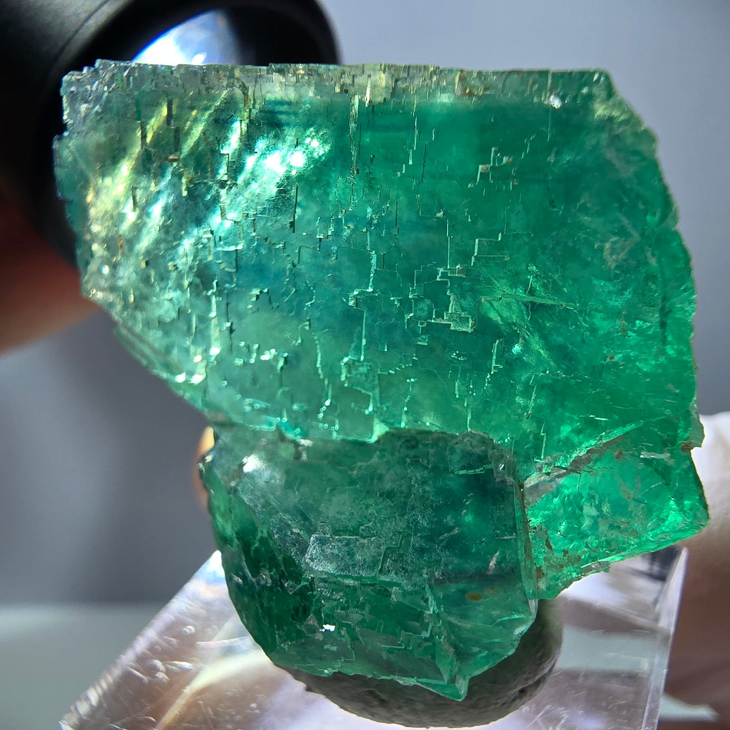 Spécimen de cube de fluorite fantôme, parquet vert Okorusu, Namibie 35 x 30 x 21 mm