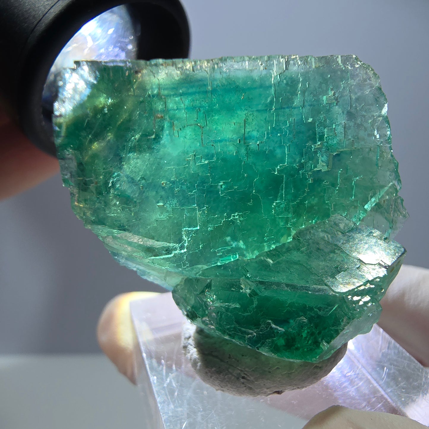 Spécimen de cube de fluorite fantôme, parquet vert Okorusu, Namibie 35 x 30 x 21 mm