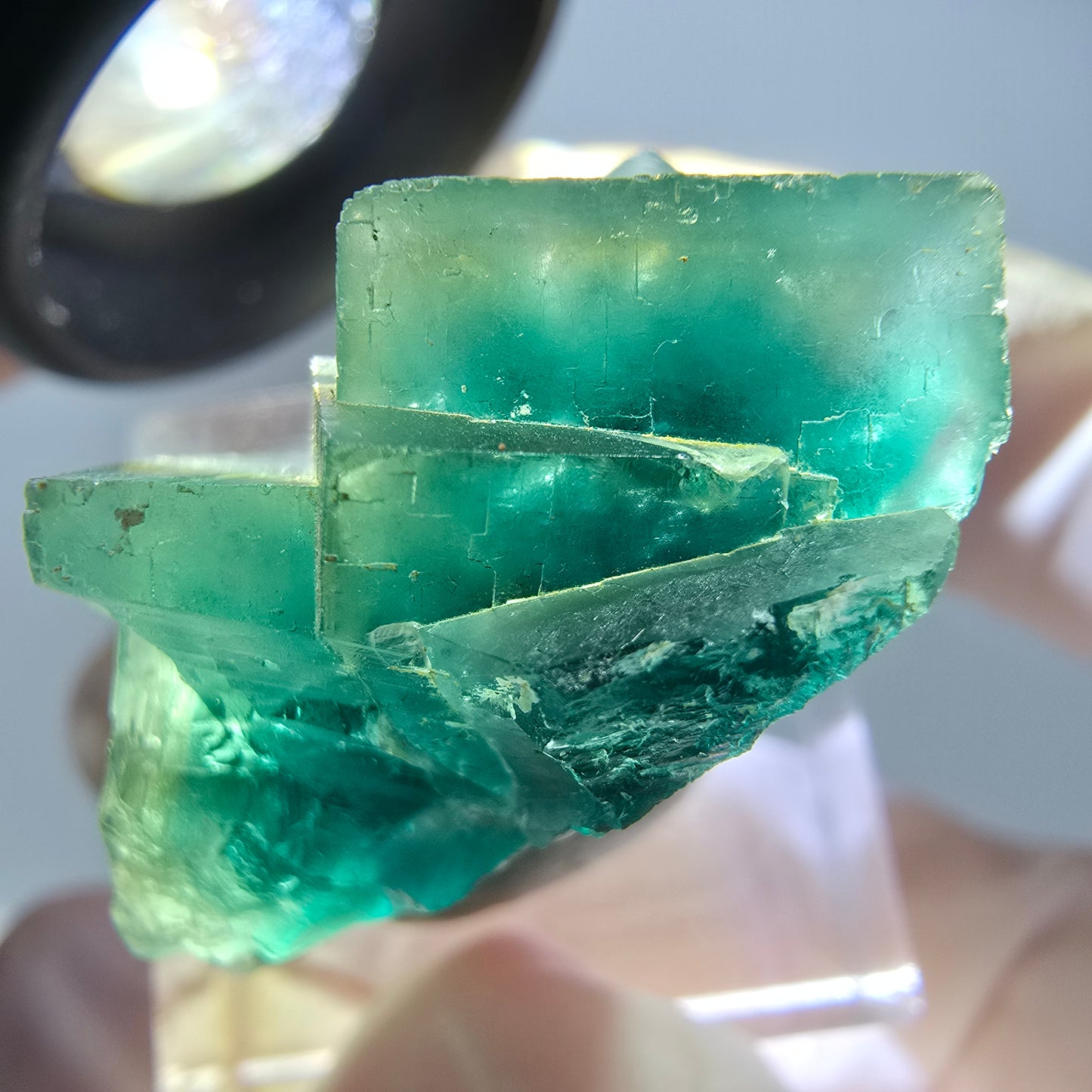 Phantom Fluorit Würfel Stufe, grün parkettiert Okorusu, Namibia 32*24*17mm