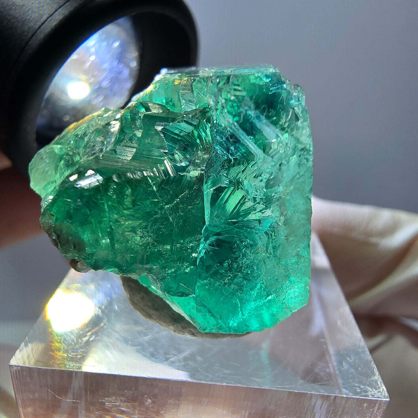 Phantom Fluorit Würfel Stufe, grün parkettiert Okorusu, Namibia 27*24*22mm