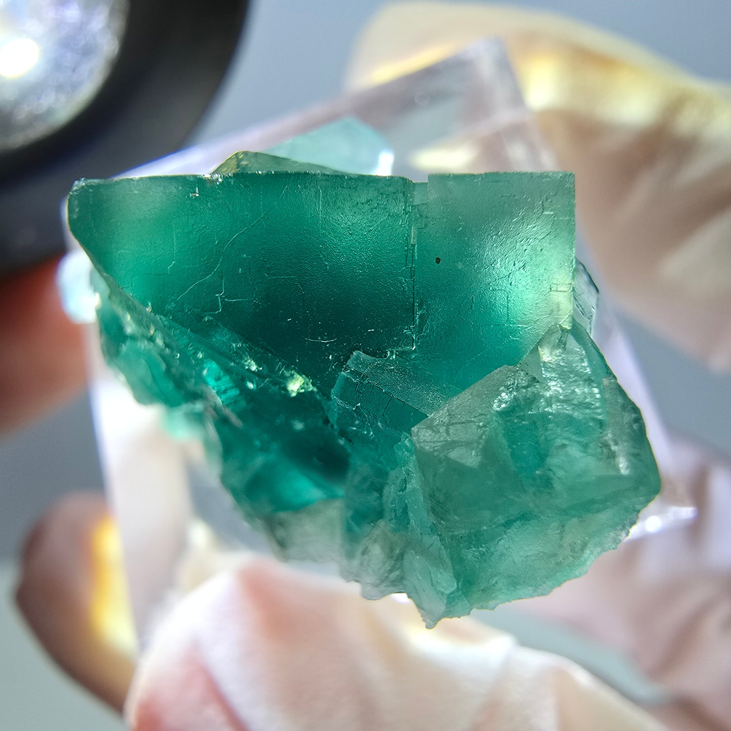 Phantom Fluorit Würfel Stufe, grün parkettiert Okorusu, Namibia 30*18*14mm