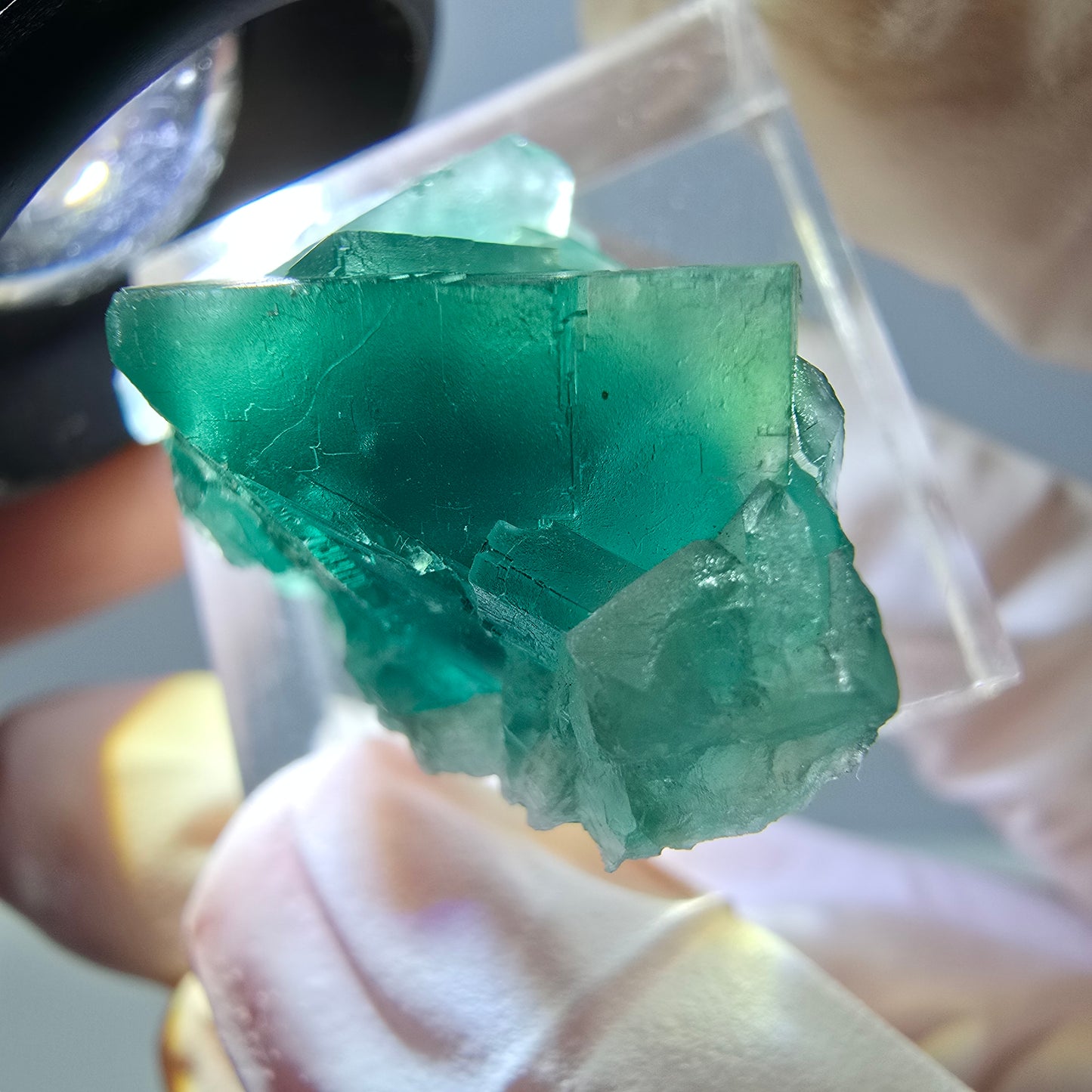 Phantom Fluorit Würfel Stufe, grün parkettiert Okorusu, Namibia 30*18*14mm