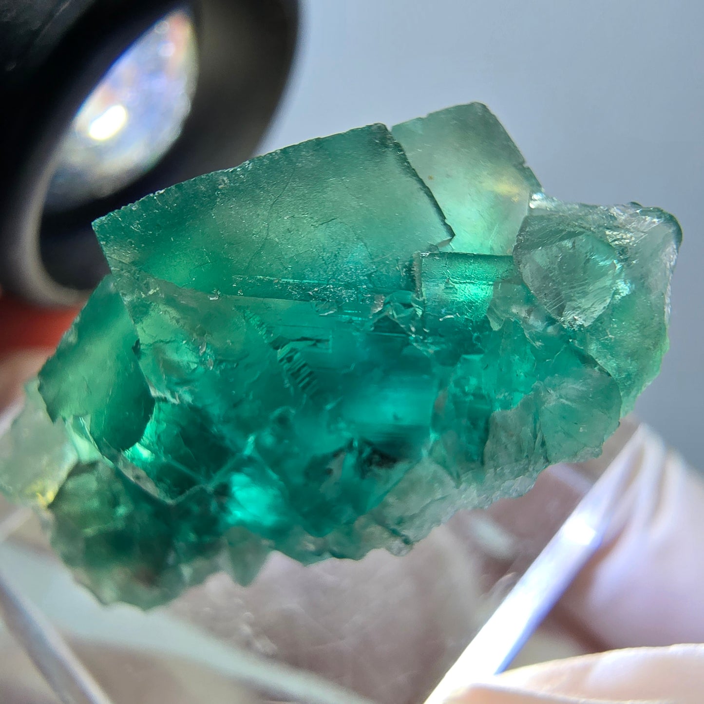 Phantom Fluorit Würfel Stufe, grün parkettiert Okorusu, Namibia 30*18*14mm