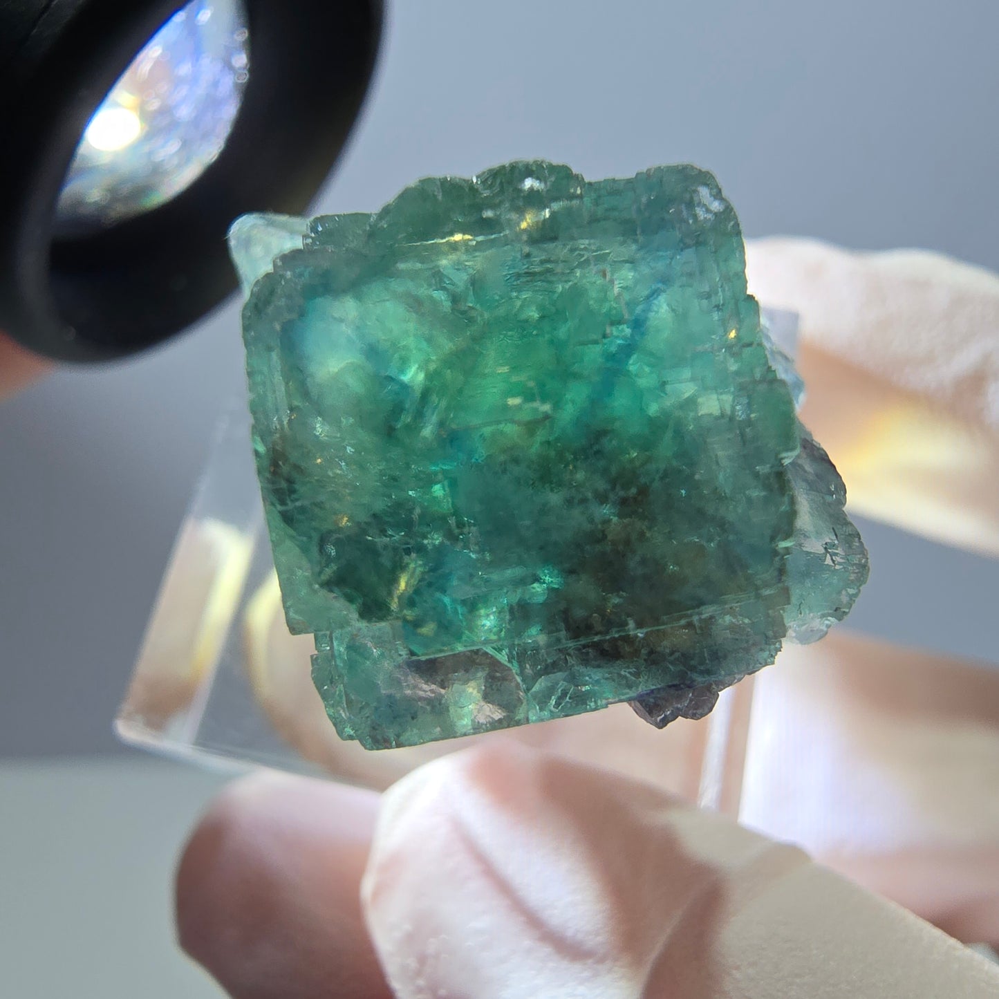 Spécimen de cube de fluorite fantôme, parquet vert Okorusu, Namibie 28 x 21 x 15 mm