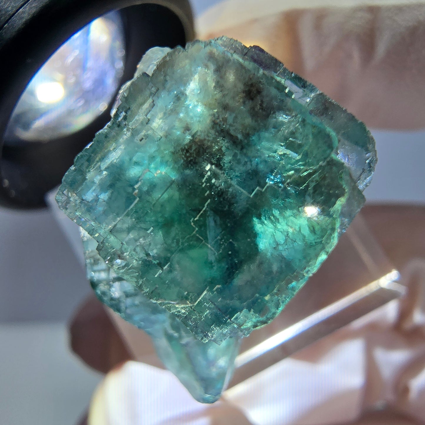 Spécimen de cube de fluorite fantôme, parquet vert Okorusu, Namibie 28 x 21 x 15 mm