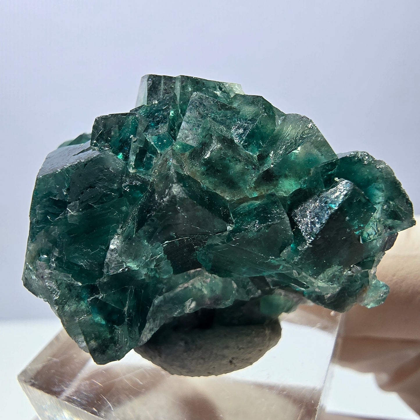 Spécimen de cube de fluorite fantôme, parquet vert Okorusu, Namibie 41 x 26 x 21 mm