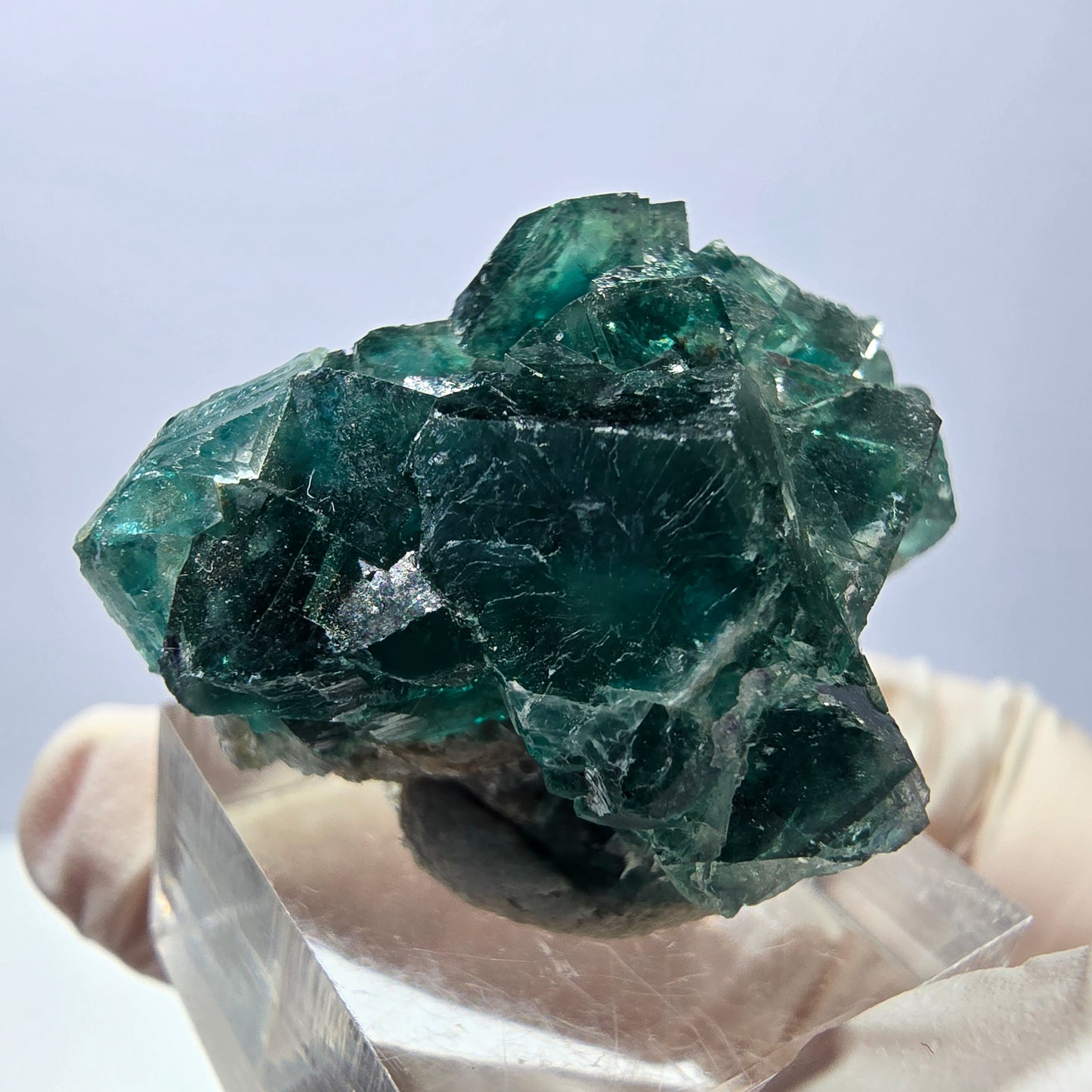 Spécimen de cube de fluorite fantôme, parquet vert Okorusu, Namibie 41 x 26 x 21 mm