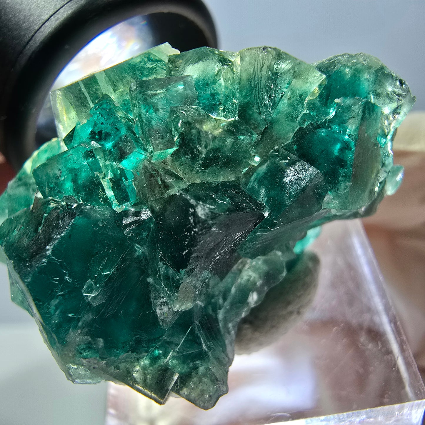 Spécimen de cube de fluorite fantôme, parquet vert Okorusu, Namibie 41 x 26 x 21 mm