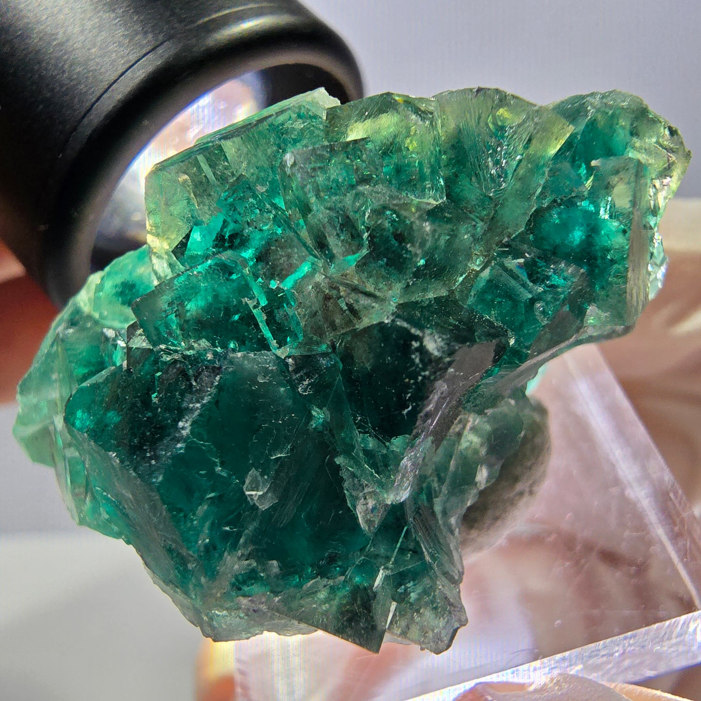 Spécimen de cube de fluorite fantôme, parquet vert Okorusu, Namibie 41 x 26 x 21 mm