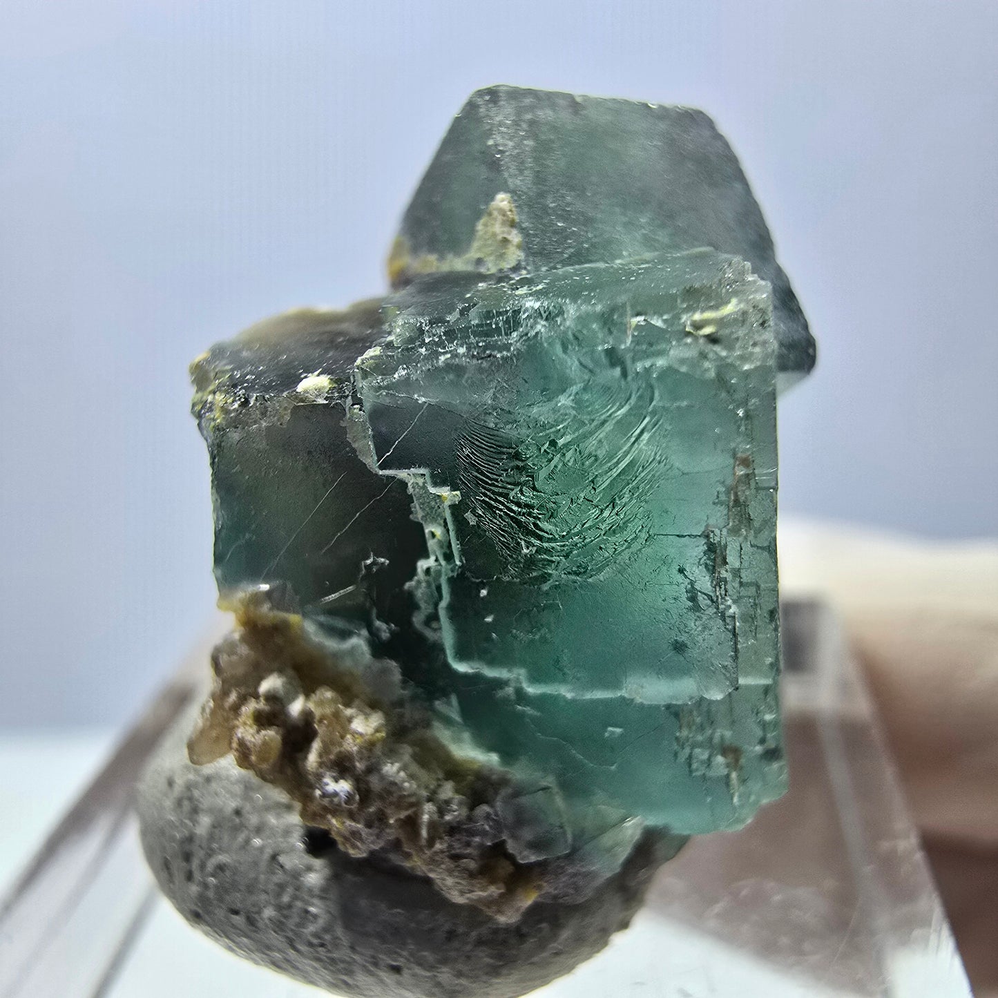 Spécimen de cube de fluorite fantôme, parquet vert Okorusu, Namibie 25 x 20 x 15 mm