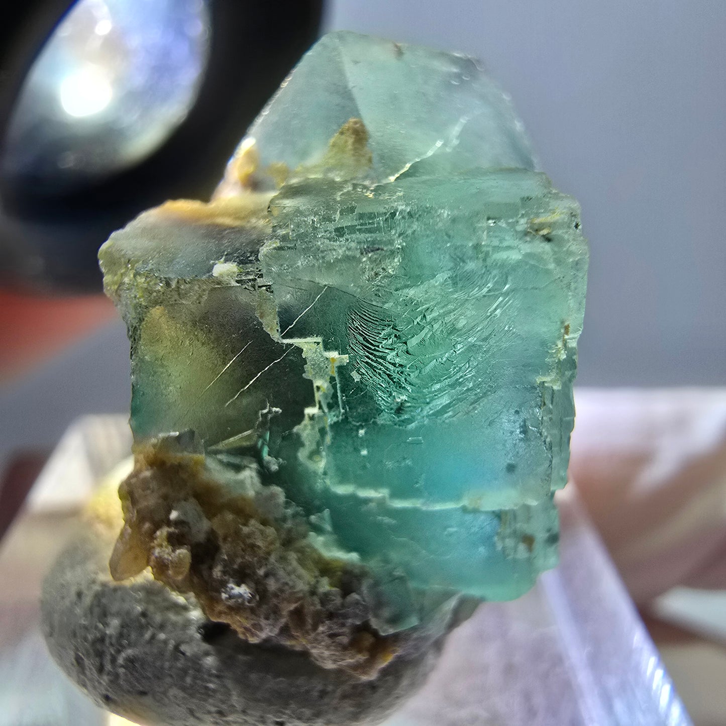 Spécimen de cube de fluorite fantôme, parquet vert Okorusu, Namibie 25 x 20 x 15 mm