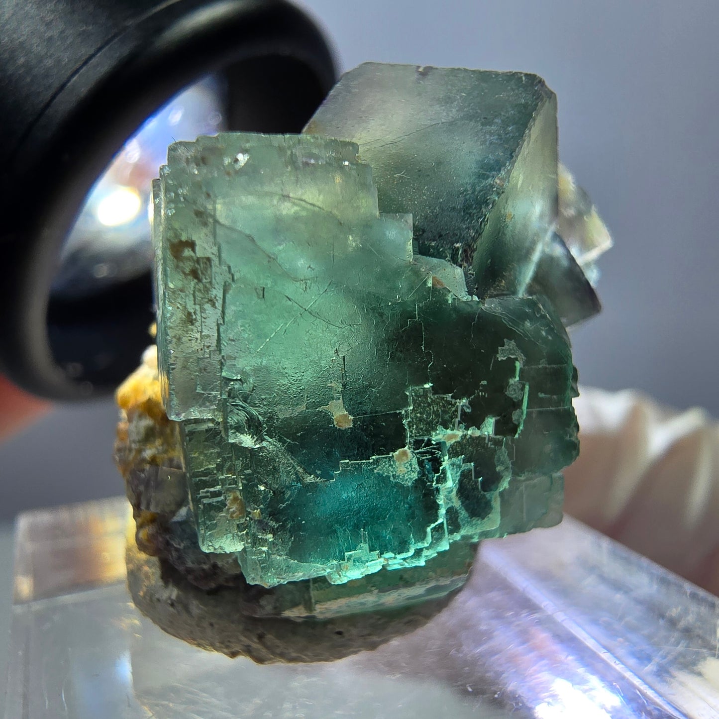 Spécimen de cube de fluorite fantôme, parquet vert Okorusu, Namibie 25 x 20 x 15 mm