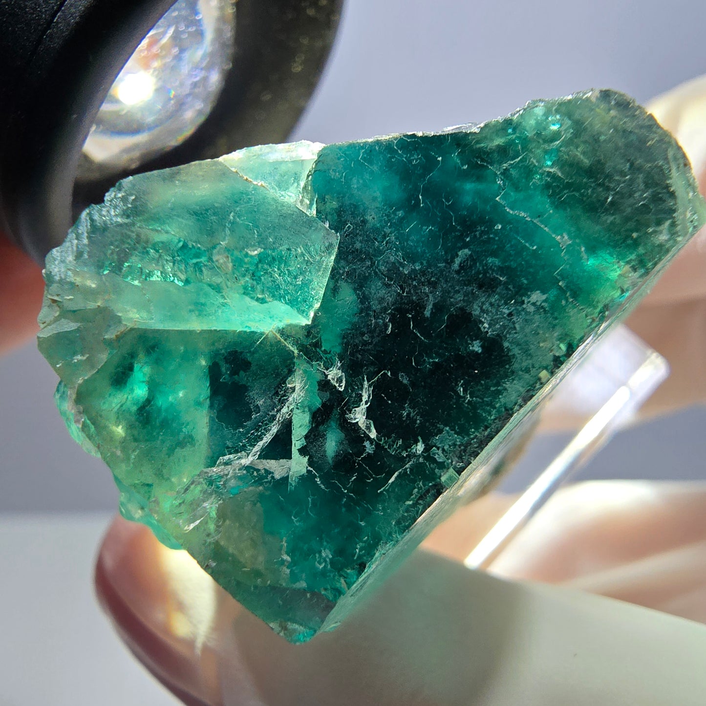 Spécimen de cube de fluorite fantôme, parquet vert Okorusu, Namibie 31*30*19 mm