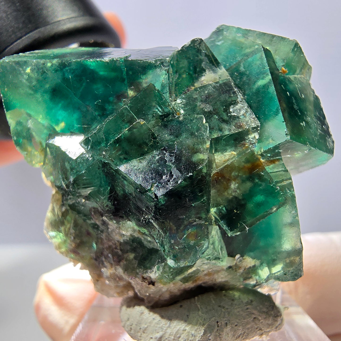 Spécimen de cube de fluorite fantôme, parquet vert Okorusu, Namibie 34 x 37 x 22 mm