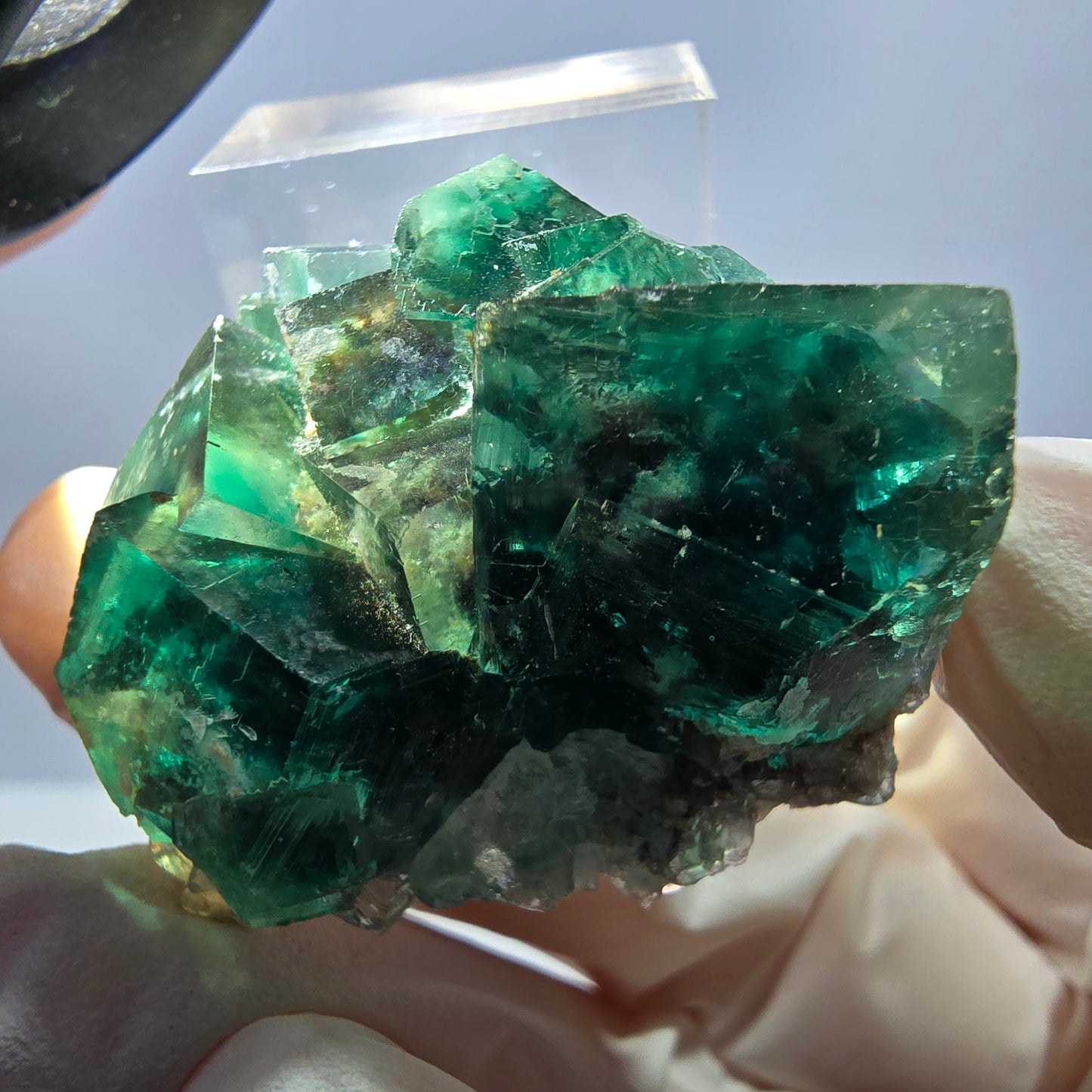 Spécimen de cube de fluorite fantôme, parquet vert Okorusu, Namibie 34 x 37 x 22 mm