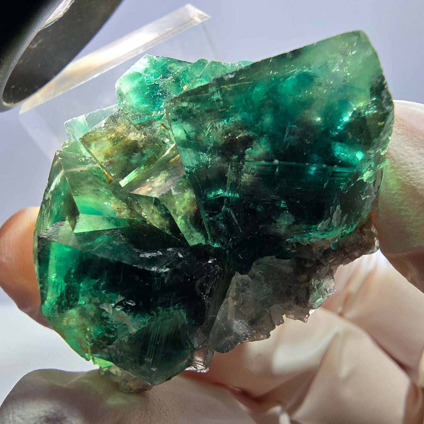 Spécimen de cube de fluorite fantôme, parquet vert Okorusu, Namibie 34 x 37 x 22 mm
