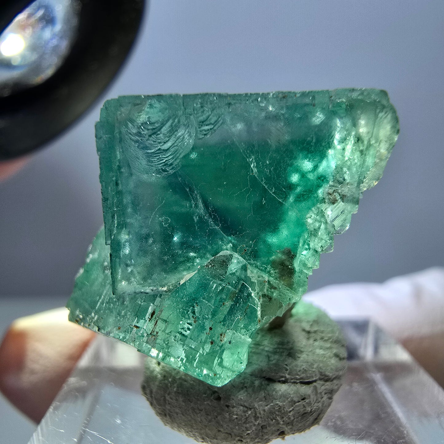 Spécimen de cube de fluorite fantôme, parquet vert Okorusu, Namibie 22 x 21 x 16 mm
