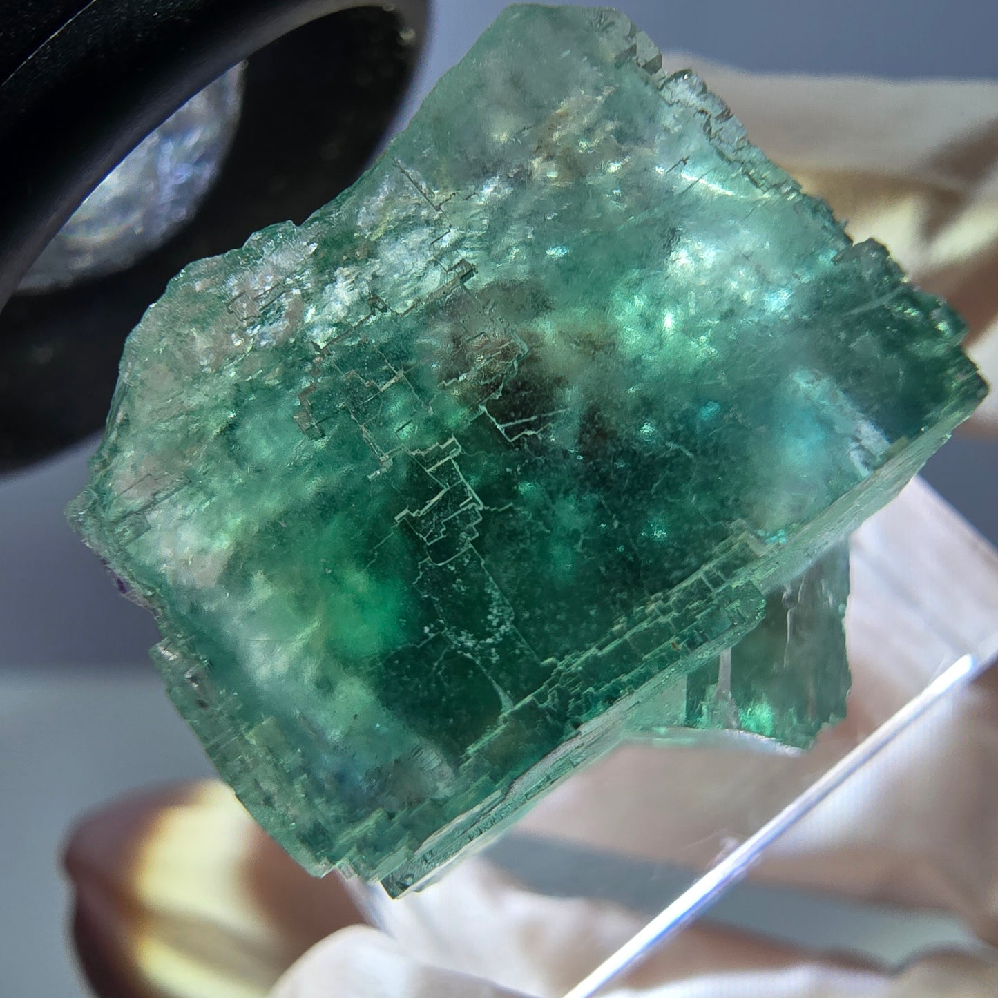 Spécimen de cube de fluorite fantôme, parquet vert Okorusu, Namibie 22 x 21 x 16 mm
