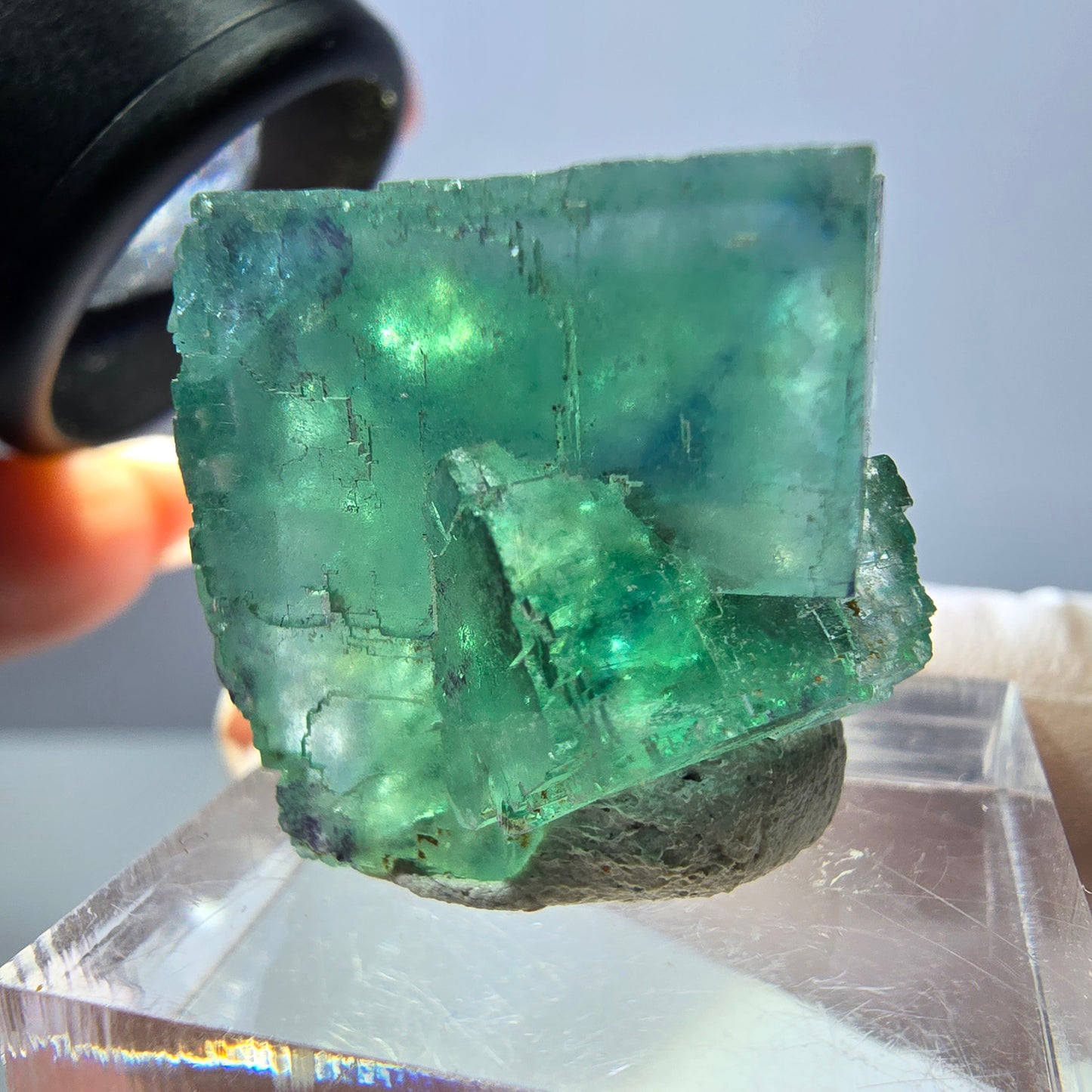 Spécimen de cube de fluorite fantôme, parquet vert Okorusu, Namibie 22 x 21 x 16 mm