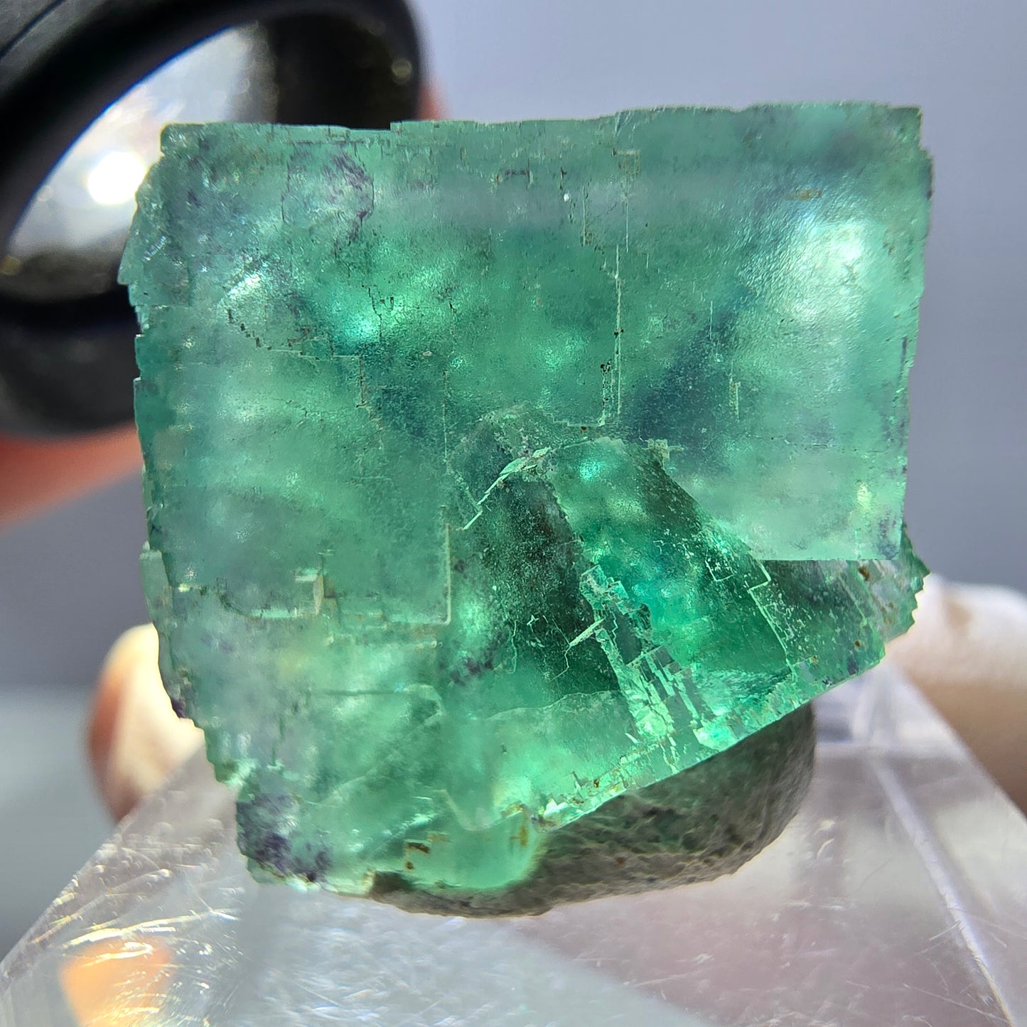 Spécimen de cube de fluorite fantôme, parquet vert Okorusu, Namibie 22 x 21 x 16 mm