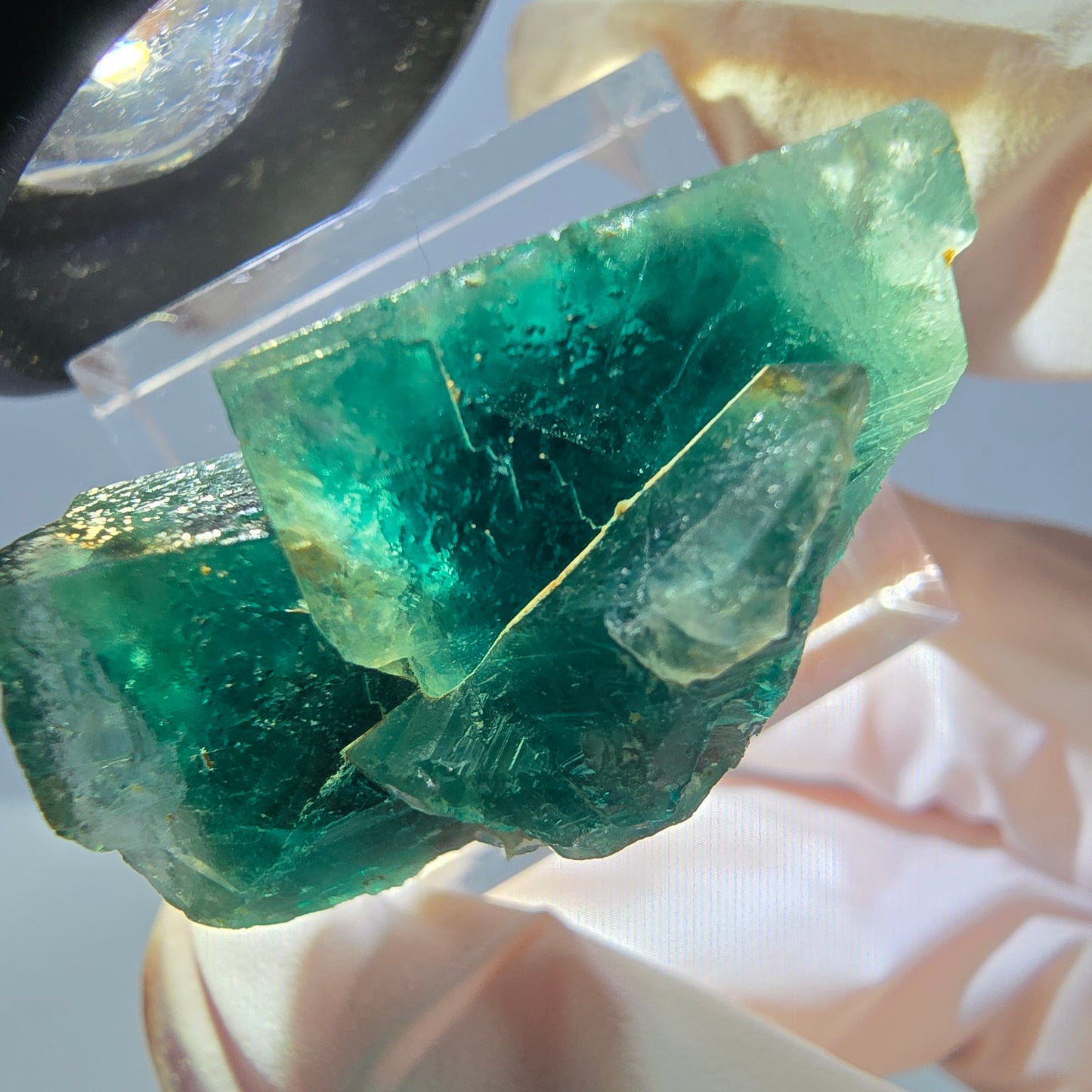 Spécimen de cube de fluorite fantôme, parquet vert Okorusu, Namibie 28*25*17 mm