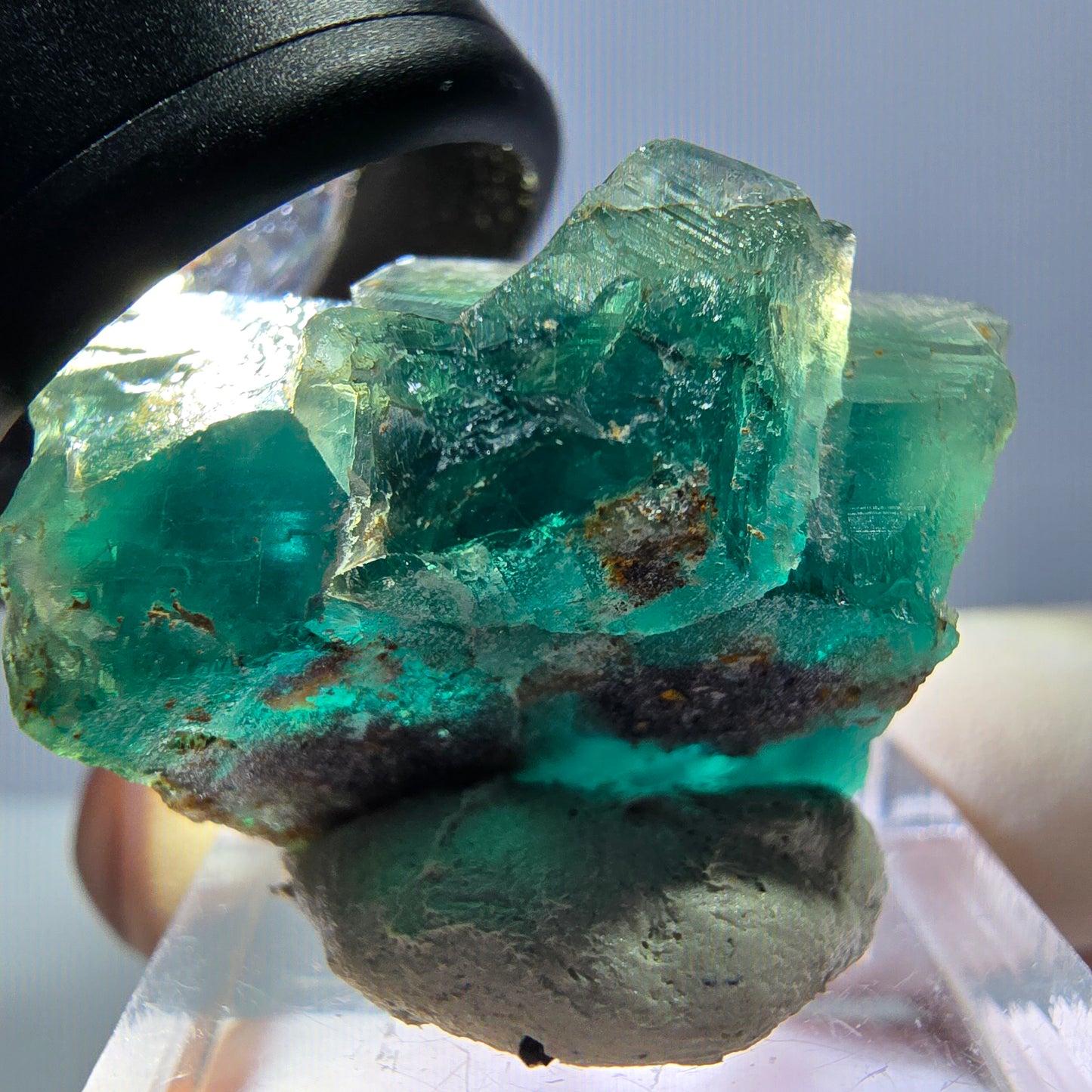 Spécimen de cube de fluorite fantôme, parquet vert Okorusu, Namibie 28*25*17 mm