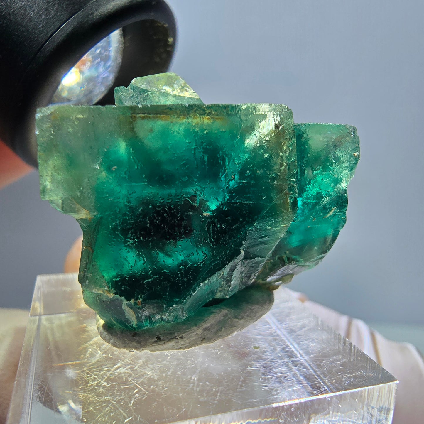 Spécimen de cube de fluorite fantôme, parquet vert Okorusu, Namibie 28*25*17 mm