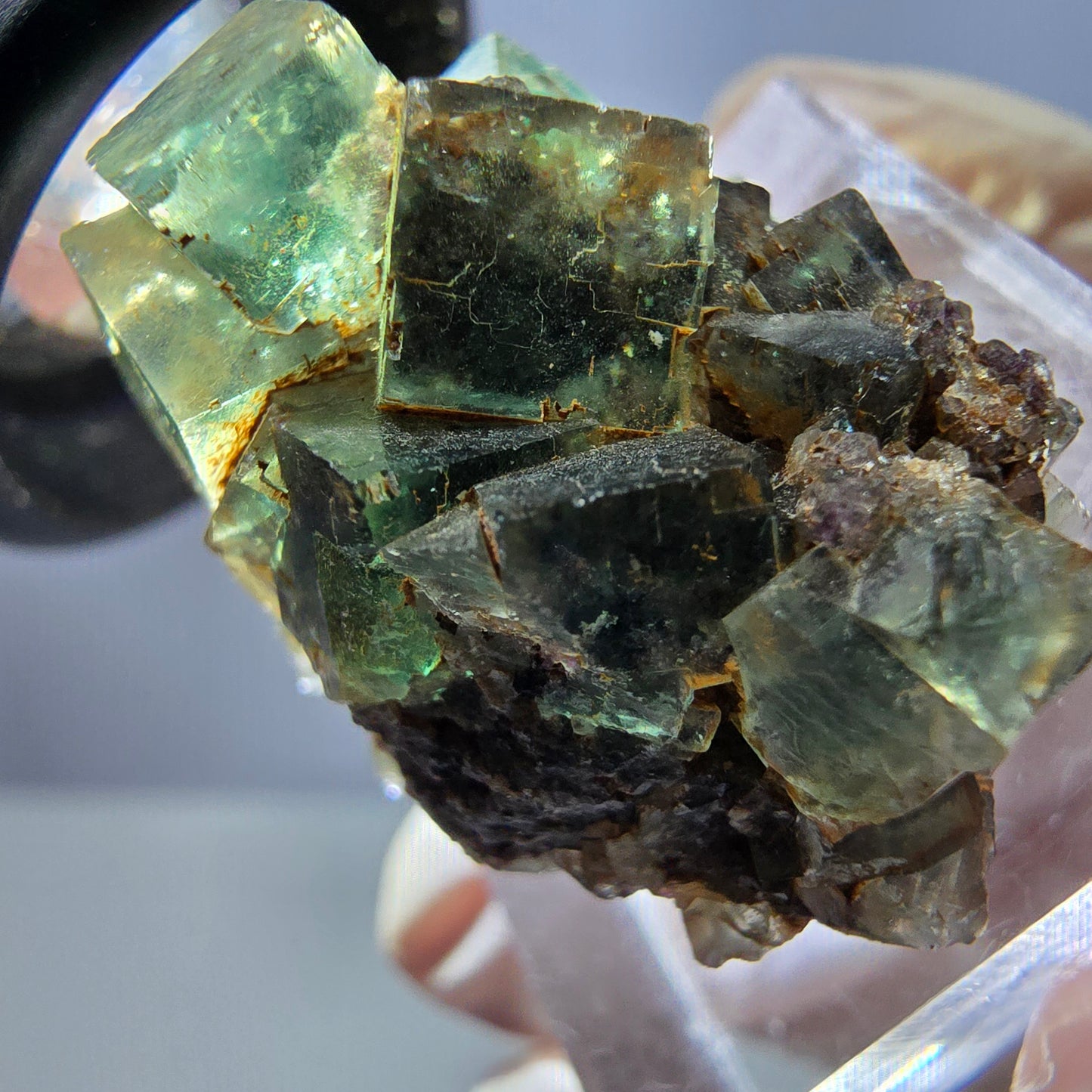 Spécimen de cube de fluorite fantôme, parquet vert Okorusu, Namibie 26 x 22 x 19 mm
