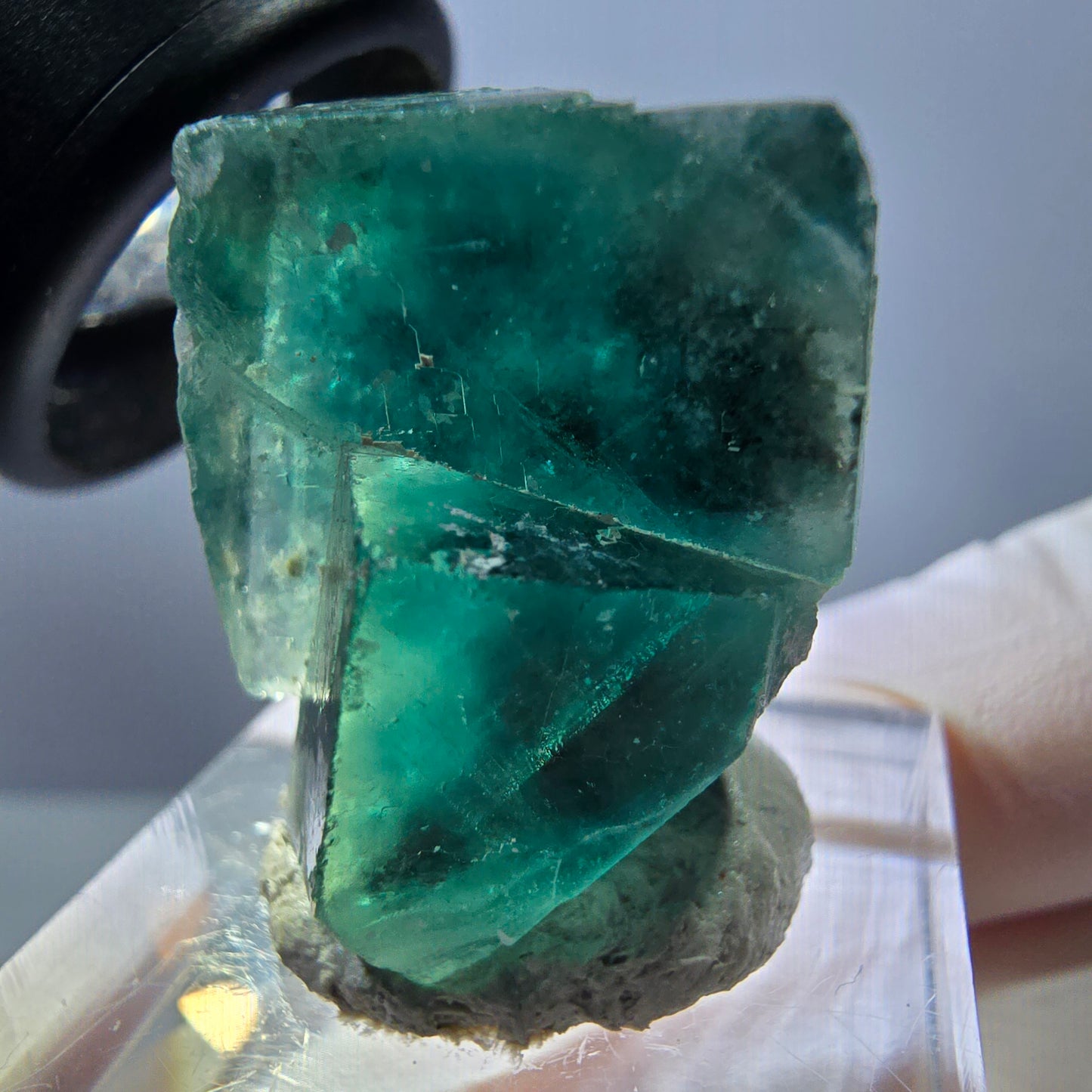 Spécimen de cube de fluorite fantôme, parquet vert Okorusu, Namibie 25 x 21 x 19 mm