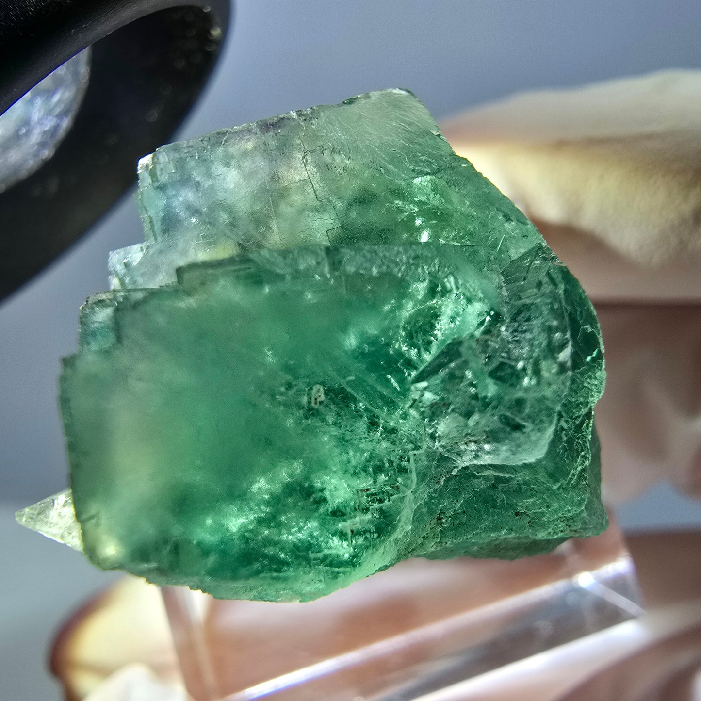 Phantom Fluorit Würfel Stufe, grün parkettiert Okorusu, Namibia 26*21*21mm