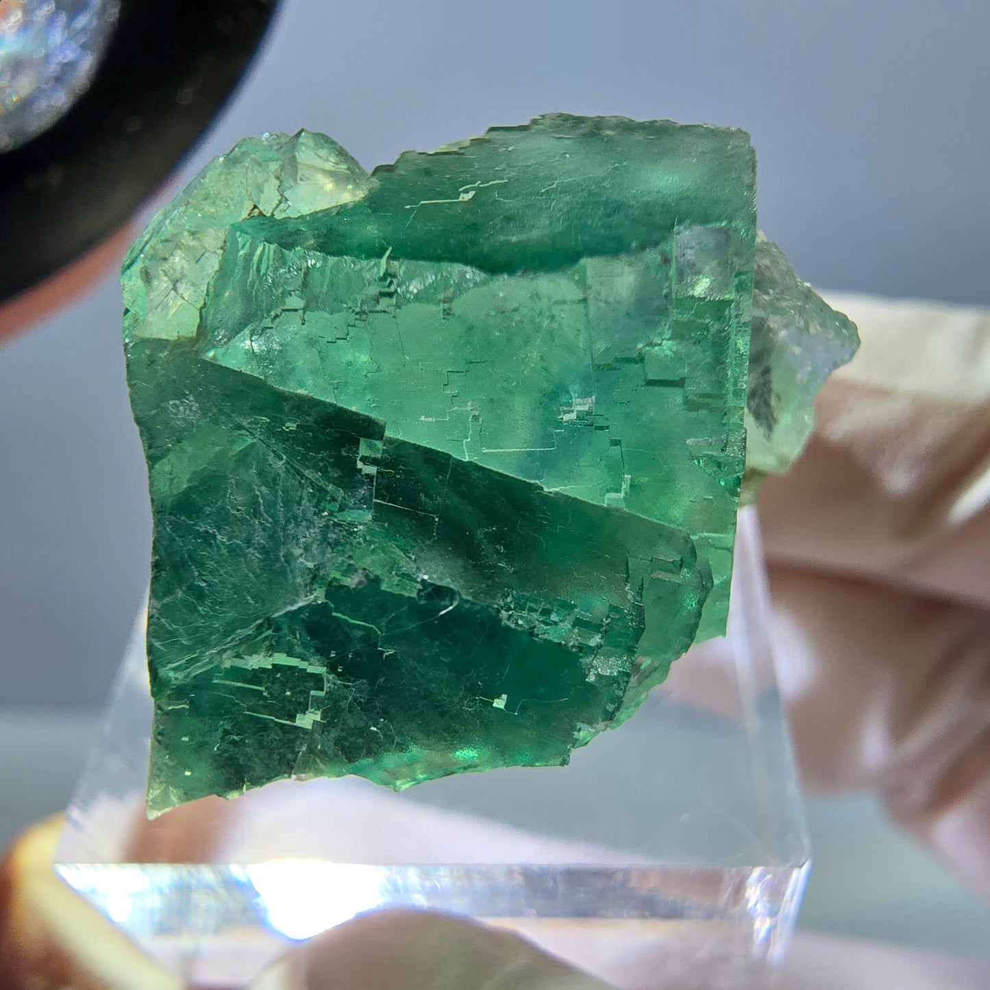 Phantom Fluorit Würfel Stufe, grün parkettiert Okorusu, Namibia 26*21*21mm