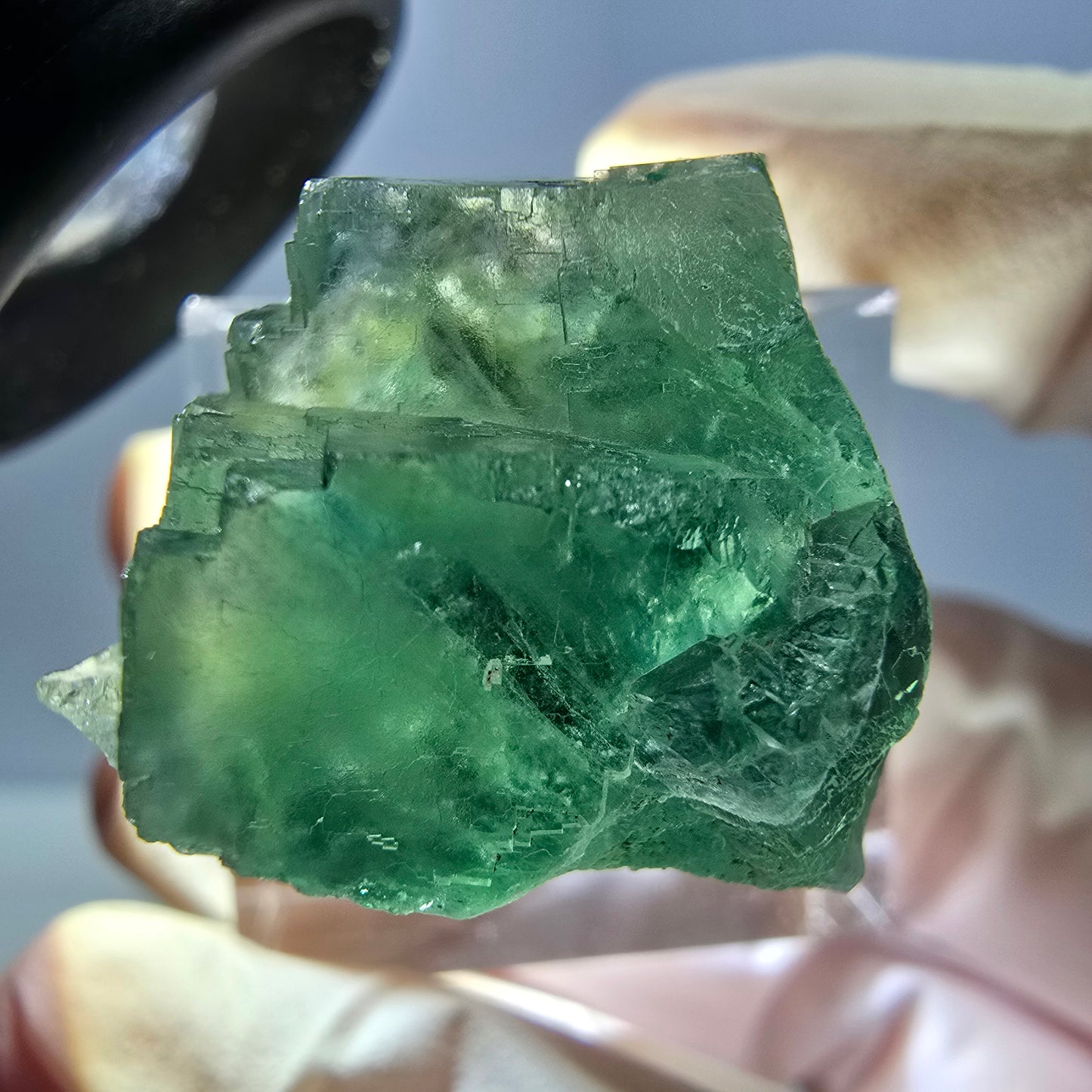 Phantom Fluorit Würfel Stufe, grün parkettiert Okorusu, Namibia 26*21*21mm