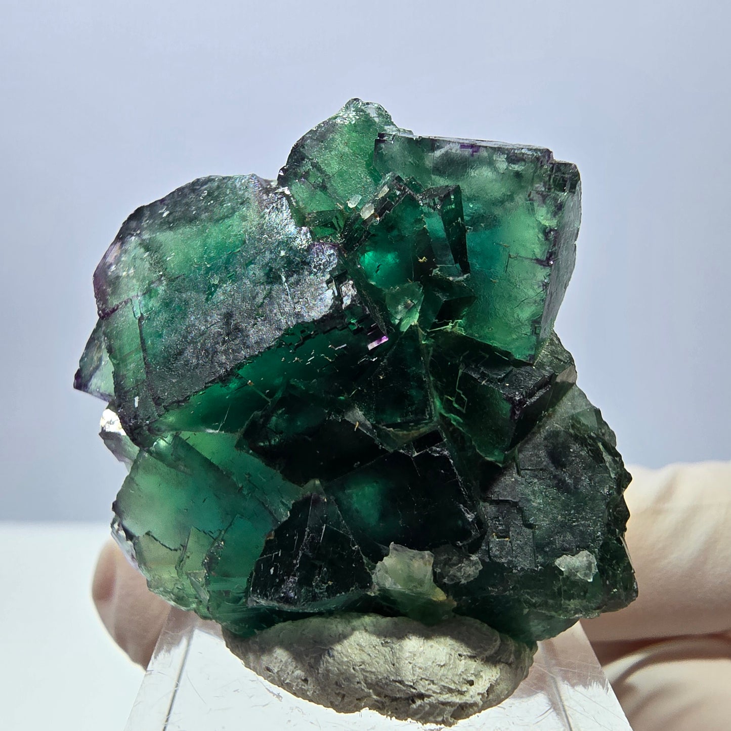 Spécimen de cube de fluorite fantôme, parquet vert Okorusu, Namibie 41 x 34 x 19 mm