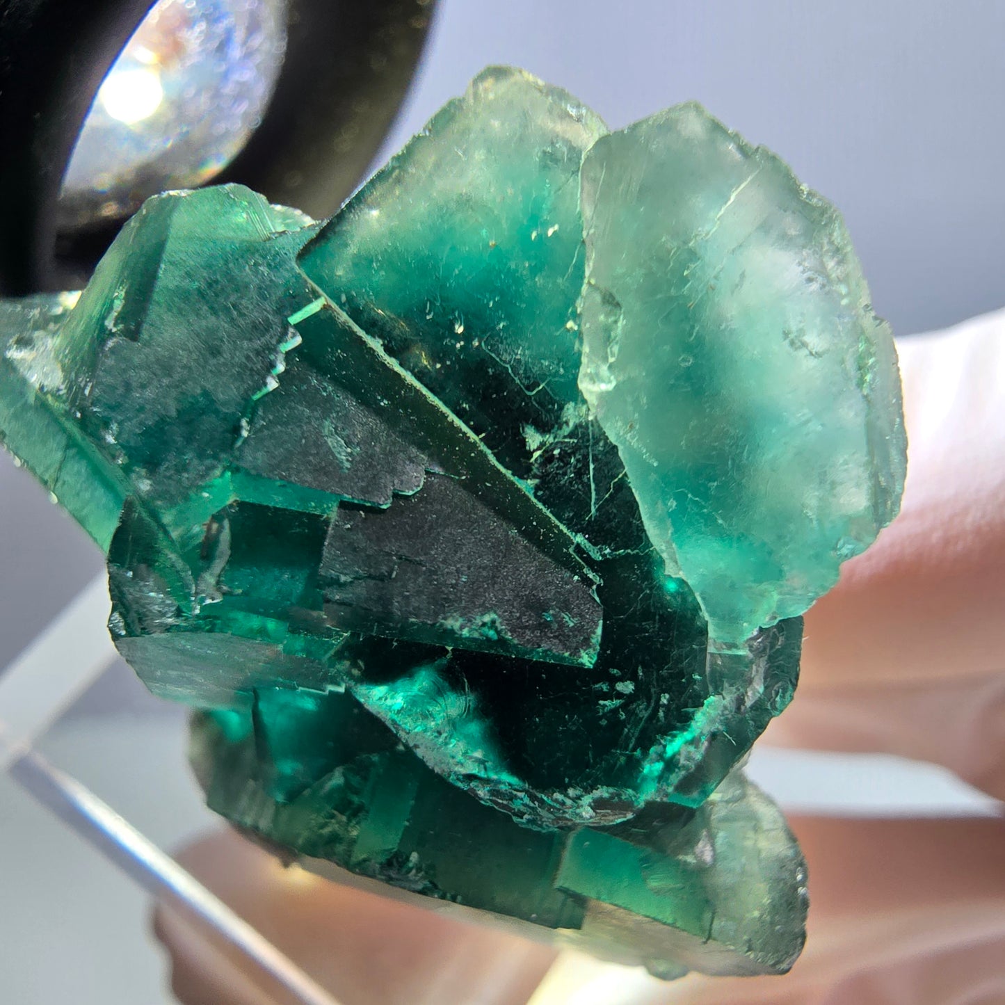 Spécimen de cube de fluorite fantôme, parquet vert Okorusu, Namibie 39 x 34 x 18 mm