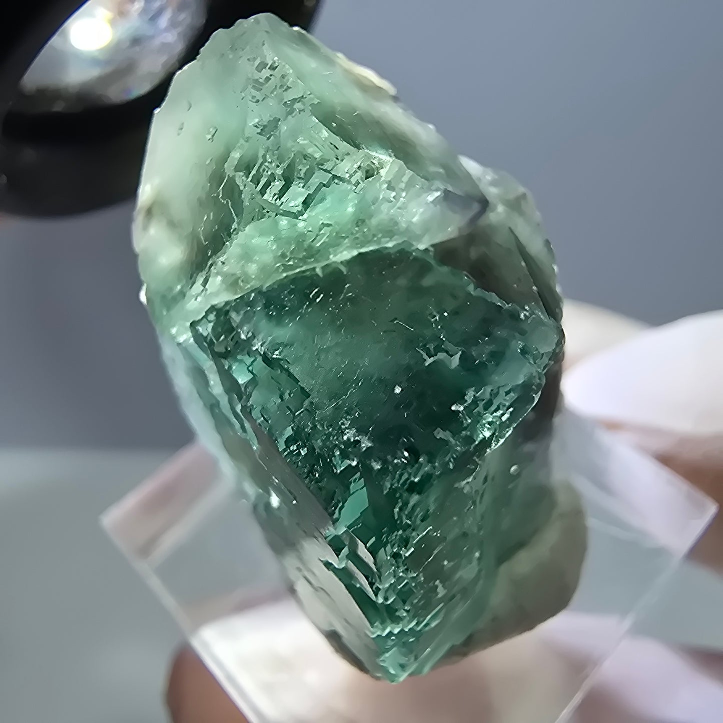 Spécimen de cube de fluorite fantôme, parquet vert Okorusu, Namibie 29 x 22 x 19 mm