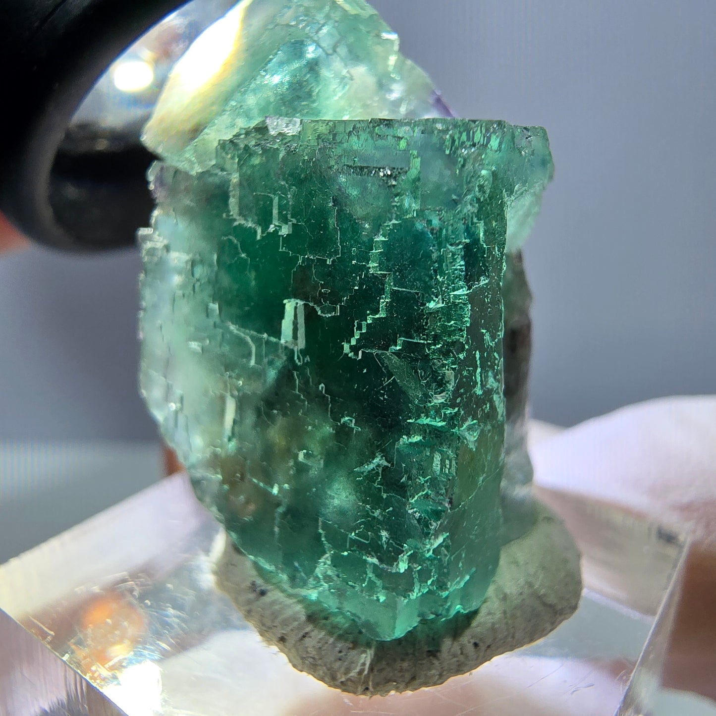 Spécimen de cube de fluorite fantôme, parquet vert Okorusu, Namibie 29 x 22 x 19 mm