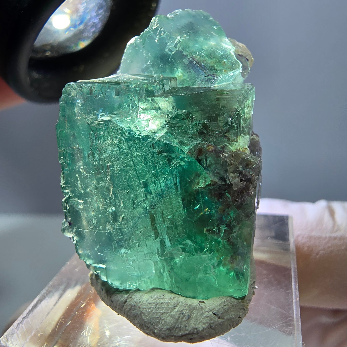Spécimen de cube de fluorite fantôme, parquet vert Okorusu, Namibie 29 x 22 x 19 mm