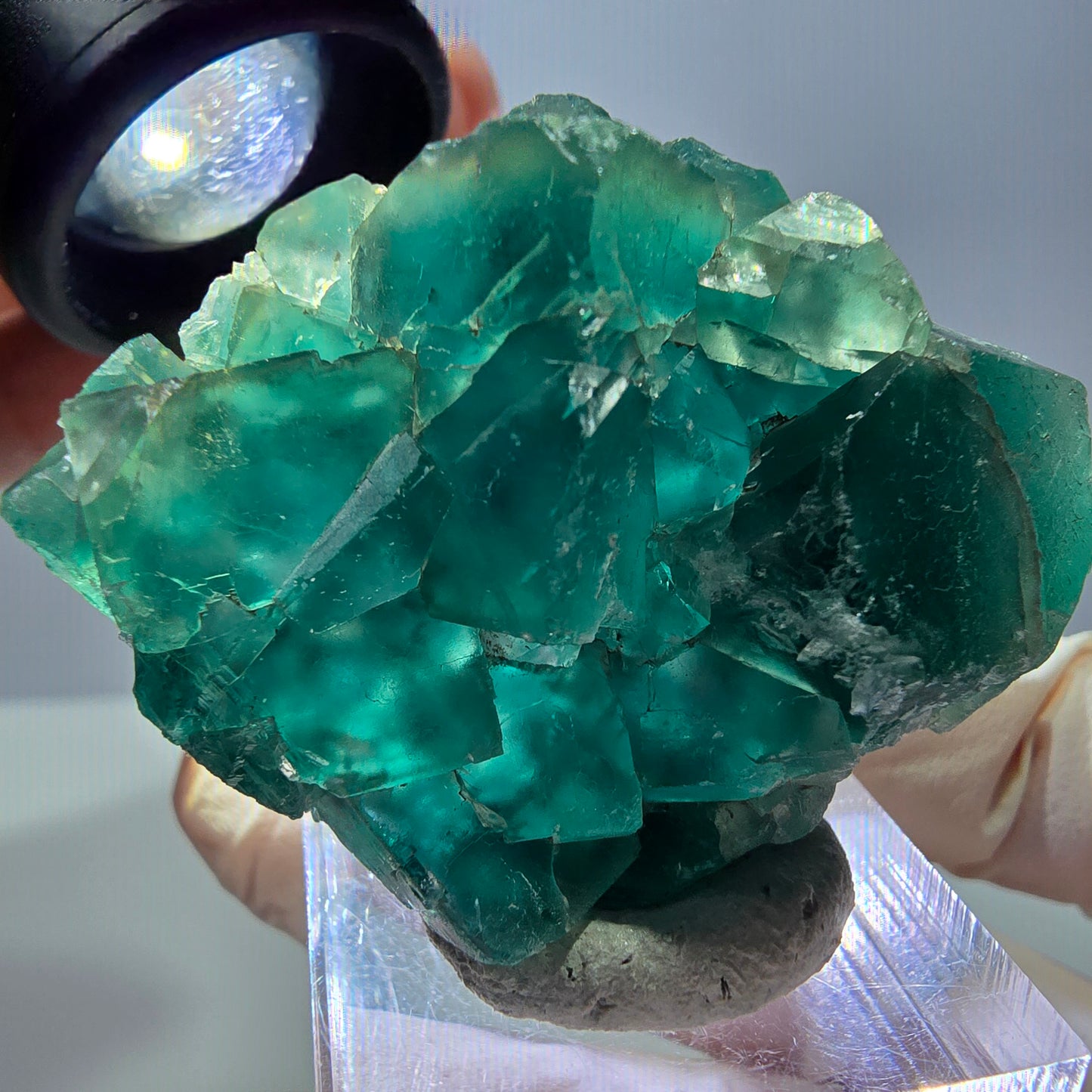 Phantom Fluorit Würfel Stufe, grün parkettiert Okorusu, Namibia 41*36*13mm