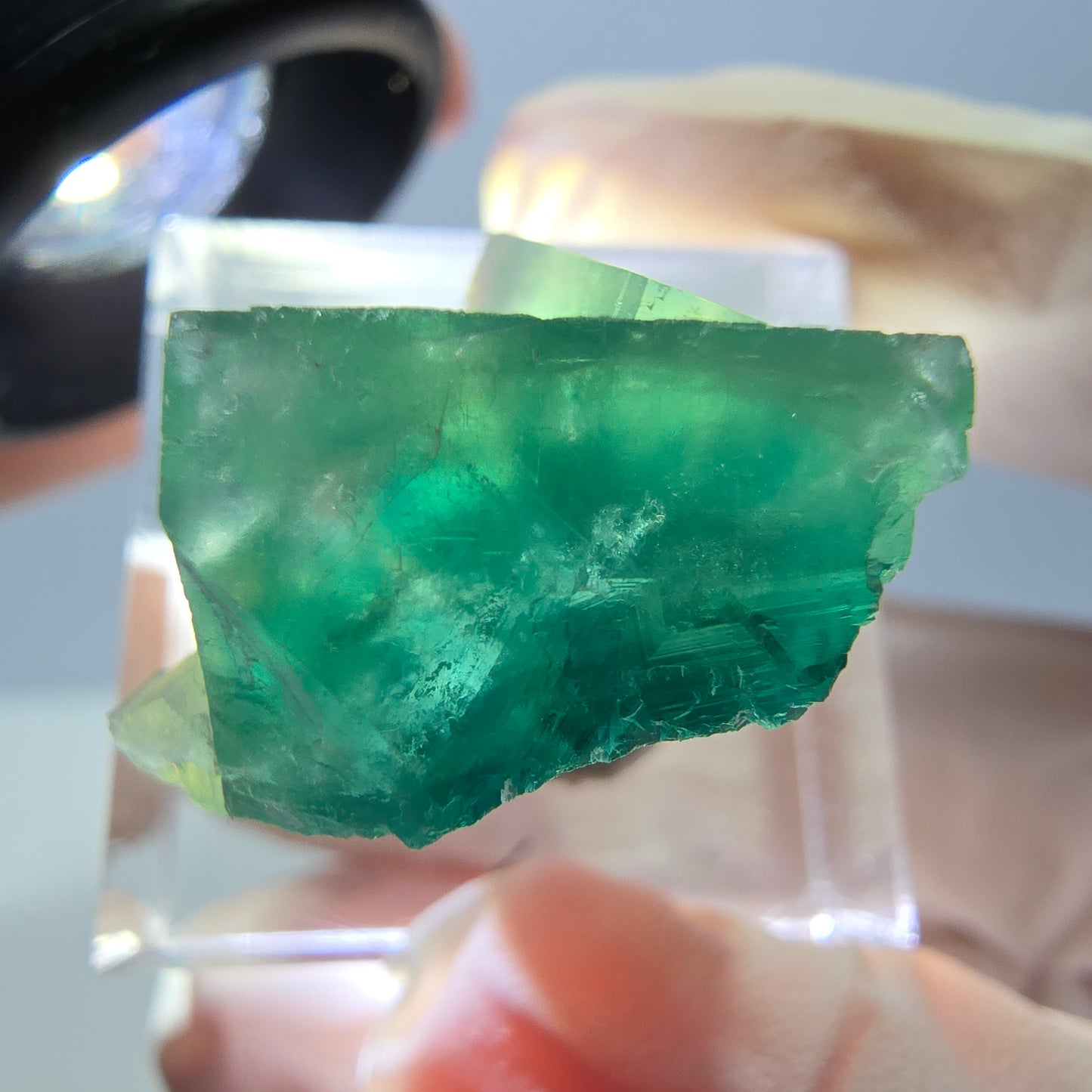 Phantom Fluorit Würfel Stufe, grün parkettiert Okorusu, Namibia 23*22*13mm