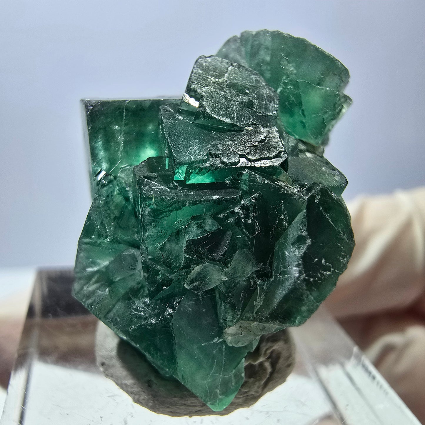 Phantom Fluorit Würfel Stufe, grün parkettiert Okorusu, Namibia 28*24*18mm