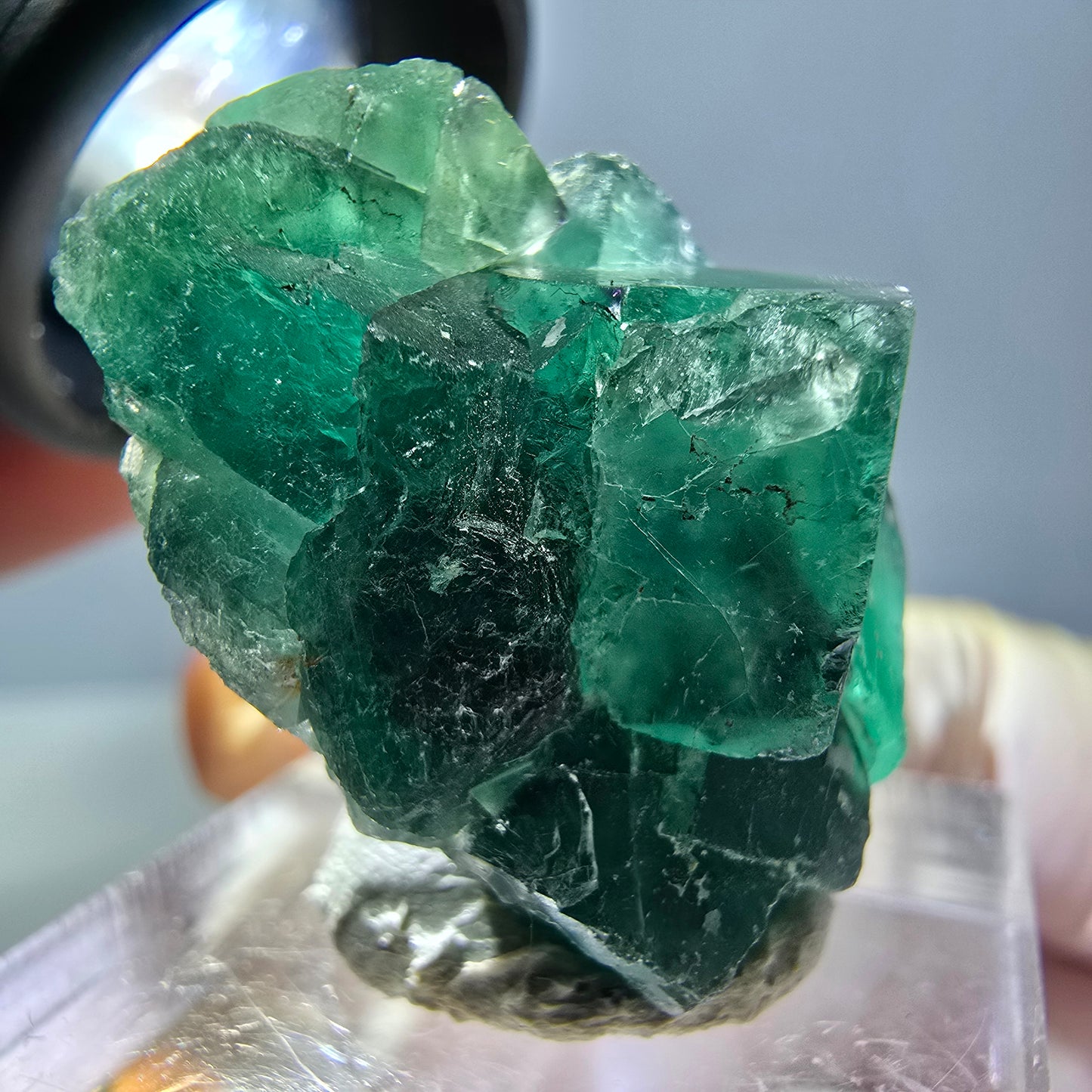 Phantom Fluorit Würfel Stufe, grün parkettiert Okorusu, Namibia 28*24*18mm