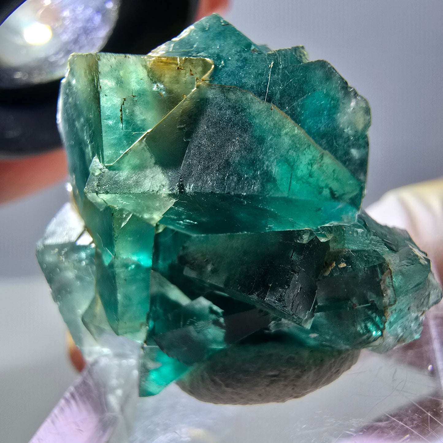 Spécimen de cube de fluorite fantôme, parquet vert Okorusu, Namibie 29*25*15 mm