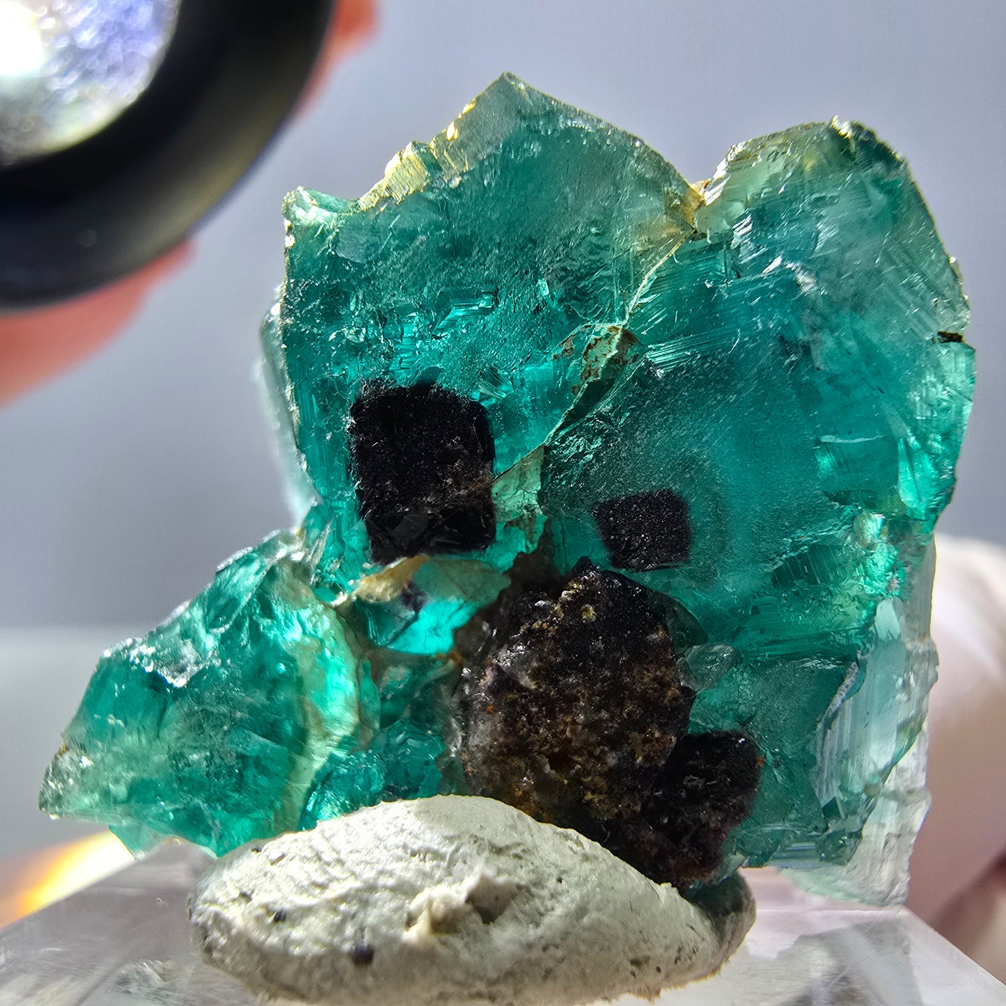 Spécimen de cube de fluorite fantôme, parquet vert Okorusu, Namibie 29*25*15 mm