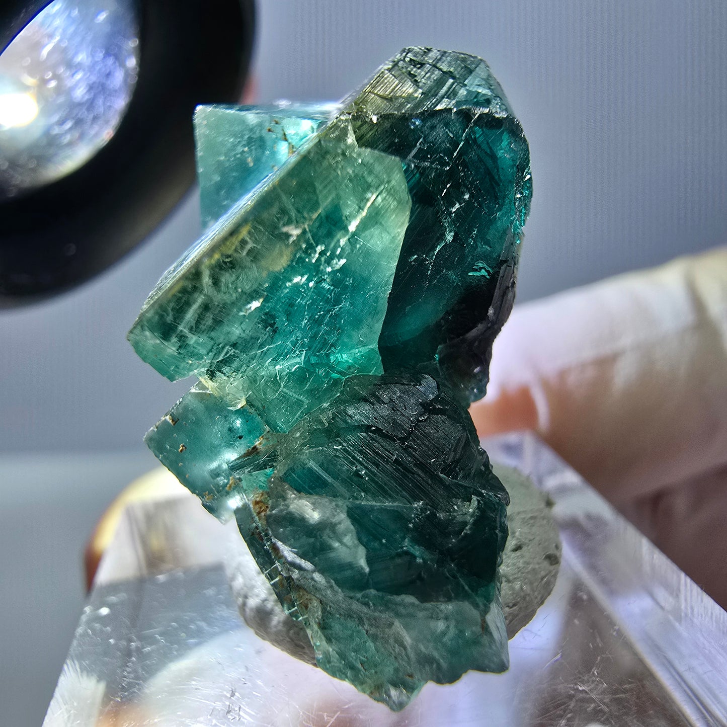 Spécimen de cube de fluorite fantôme, parquet vert Okorusu, Namibie 29*25*15 mm