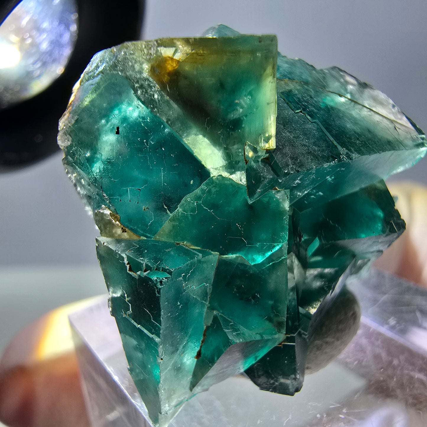 Spécimen de cube de fluorite fantôme, parquet vert Okorusu, Namibie 29*25*15 mm