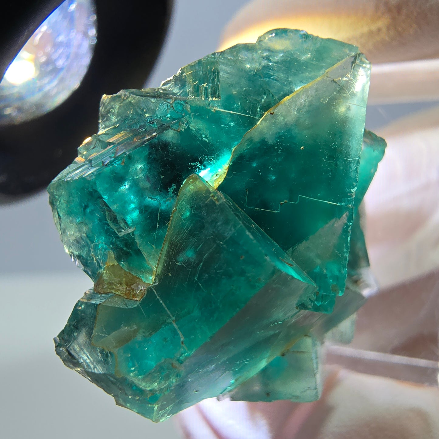 Spécimen de cube de fluorite fantôme, parquet vert Okorusu, Namibie 29*25*15 mm